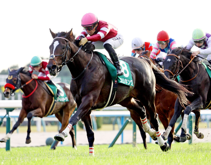 京都２歳Ｓで重賞初制覇したエリキング