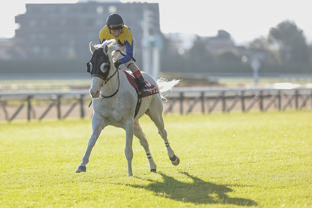 吉田豊騎手はハヤヤッコで挑む(撮影：下野雄規)