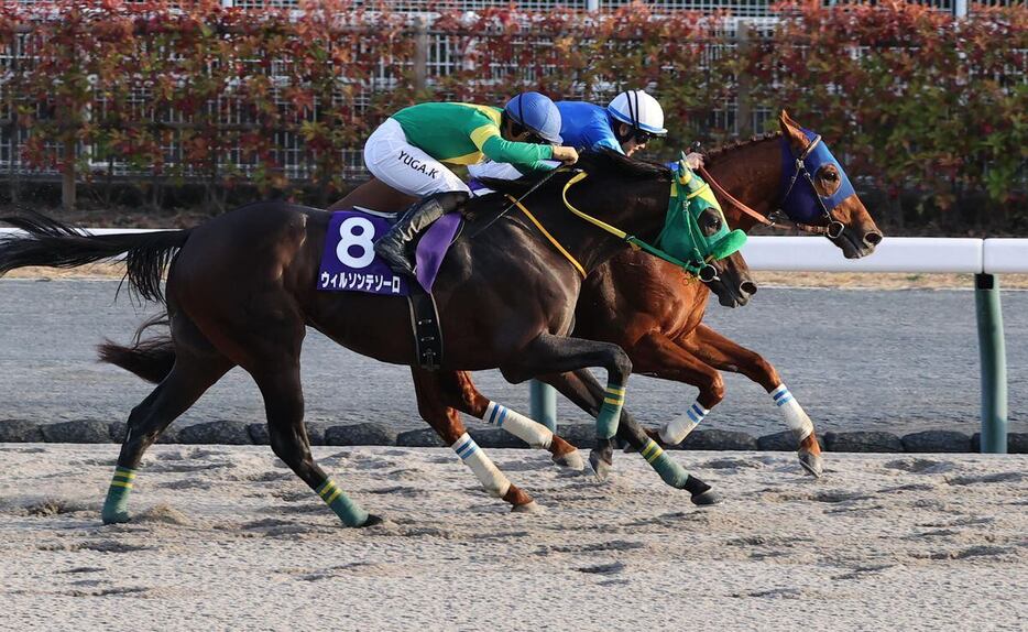 チャンピオンズCを制し有終の美を飾ったレモンポップ（奥、白帽）＝中京競馬場（撮影・安部光翁）