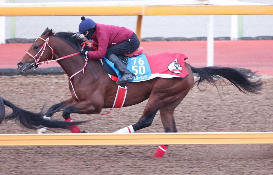 坂井を背にCWコースにて3頭併せで追い切るフォーエバーヤング（撮影・亀井直樹）　