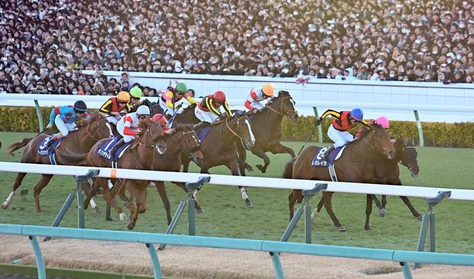 有馬記念のゴール前＝中山競馬場（撮影・田村亮介）