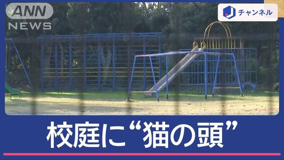 小学校の校庭に“猫の頭部”別の場所で胴体も…住民不安