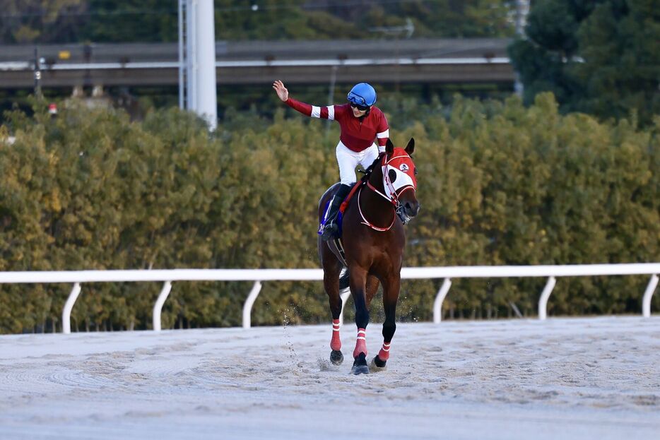 東京大賞典・フォーエバーヤングと坂井瑠星騎手 (C)Hiroki Homma