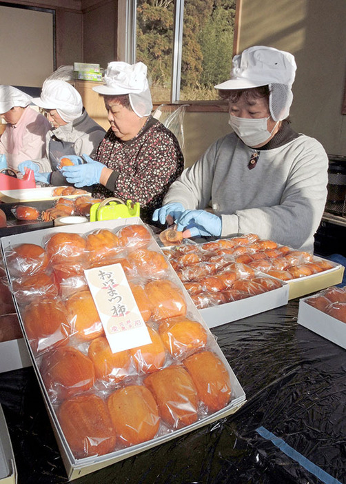 おいまつ柿援隊の作業場で箱詰めされる「おいまつ柿」。21日から市内の店頭に並ぶ