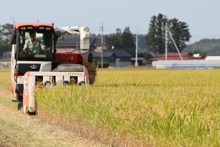 日本の農業危機に打開策はあるのか（写真はイメージ／時事通信フォト）