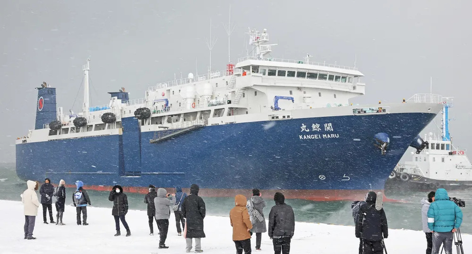 石狩湾新港に接岸する捕鯨母船「関鯨丸」＝午前9時40分（北波智史撮影）