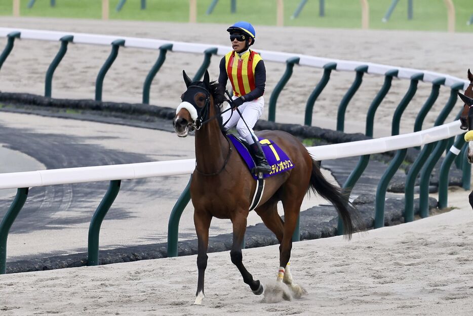 オークス・ステレンボッシュと戸崎圭太騎手