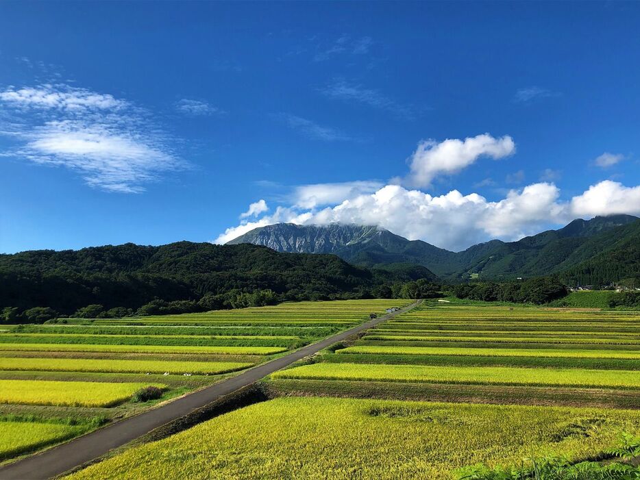 鳥取県大仙 ※写真はイメージです - 写真＝iStock.com／Snowmode