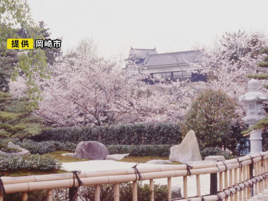 岡崎公園のサクラ 画像:岡崎市提供