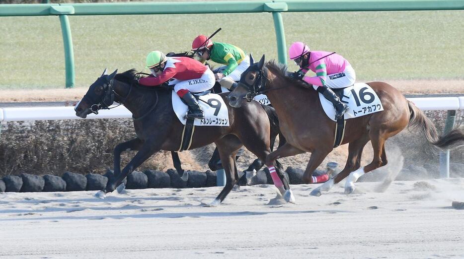 【競馬中山】　6R　メイクデビュー中山（新馬戦）　1着9番　ドルンレースツェン　＝12月28日、中山競馬場（撮影・菅原和彦）