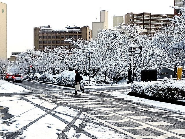 雪が降った富山市内＝２３日午前７時半ごろ