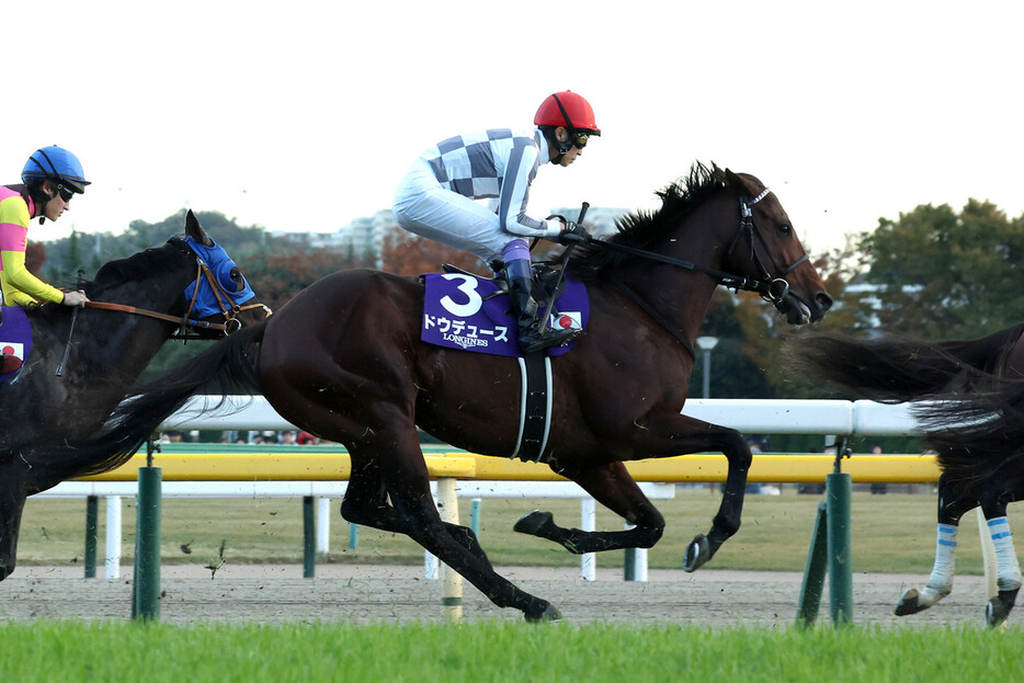 ジャパンカップで力走する武豊騎乗のドウデュース＝１１月２４日、東京競馬場