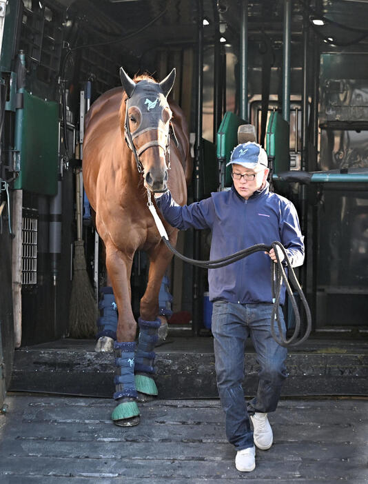 中山競馬場に到着したダノンデサイル（撮影・千葉一成）