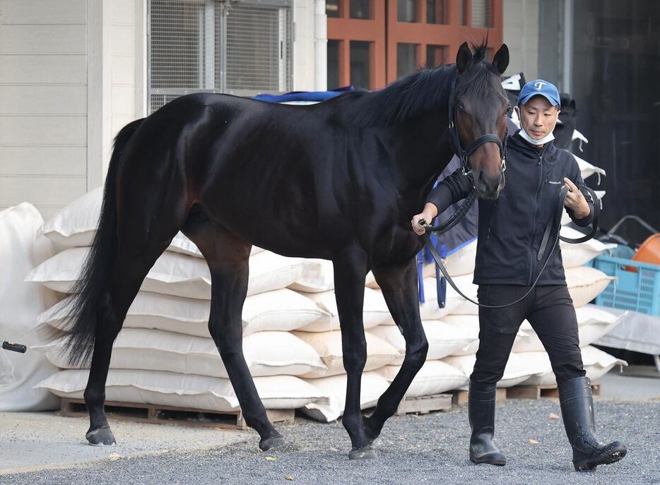 ミュージアムマイル＝栗東トレセン（撮影・安部光翁）