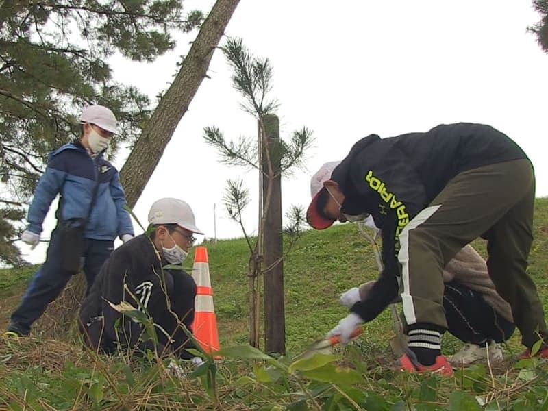 苗木を植える園児ら＝１８日午前、海津市海津町油島