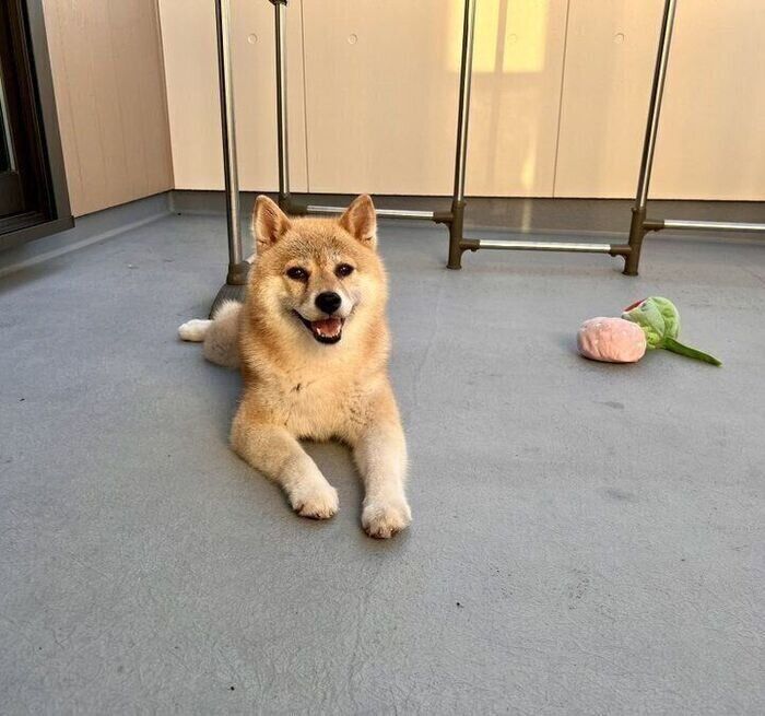 自宅のベランダでほほ笑む碧海ちゃん