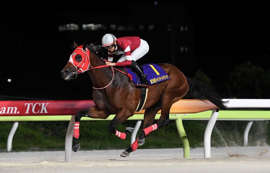 3歳馬フォーエバーヤング