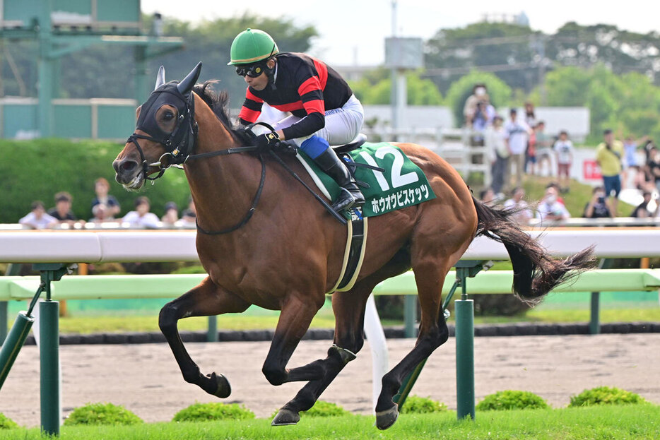 ホウオウビスケッツはハンデ５９・５キロ