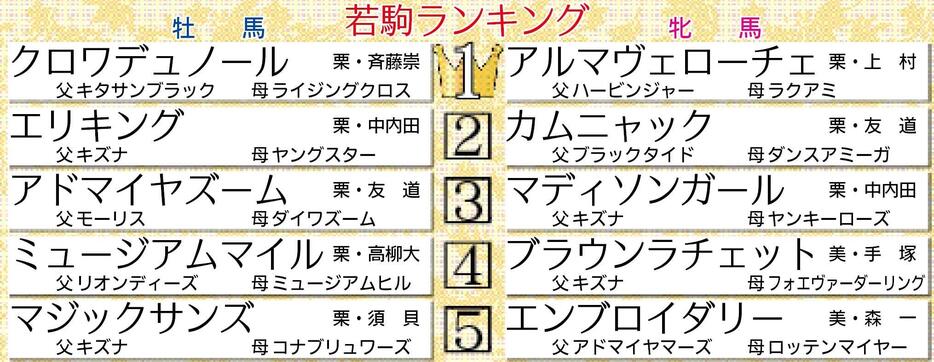 　若駒格付けランキング表