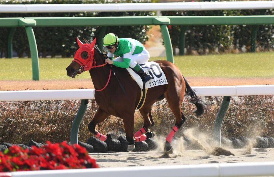 新馬戦を大差勝ちしたシュヴァルボヌール（撮影・奈良武）