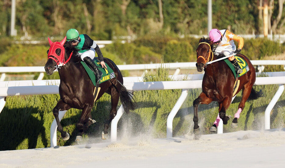 長浜鴻緒騎手を背に後続を引き離して１着でゴールするマリノマジカル（左）（カメラ・岩田　大補）