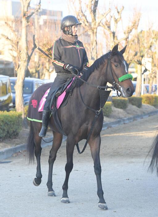 　デアリングエア