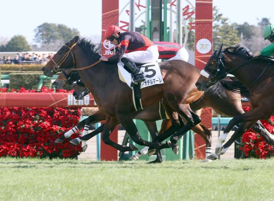 ゴール前で差し切りデビュー勝ちを収めたディオデルマーレ＝22日、中山競馬場（撮影・塩浦孝明）