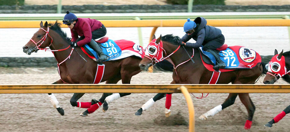 坂井瑠星騎手を背に併せ馬で追い切るフォーエバーヤング（左）