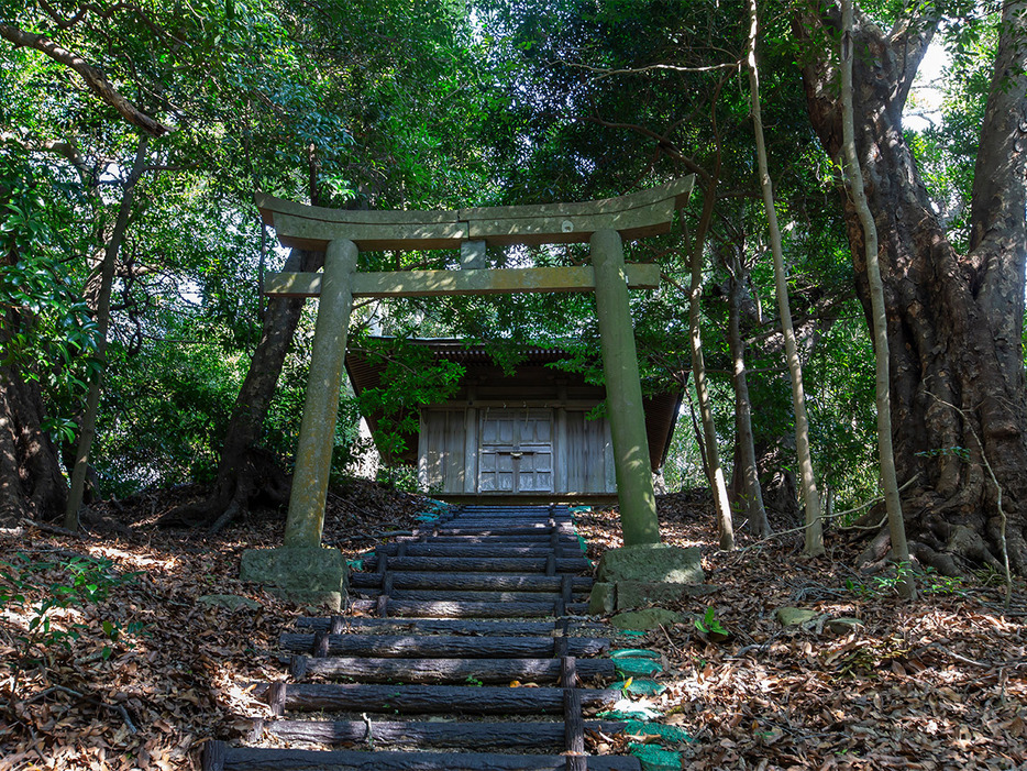 久能山の山頂に鎮座する愛宕神社の社殿