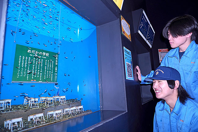 「めだかの学校」をモチーフにした水槽＝鶴岡市立加茂水族館