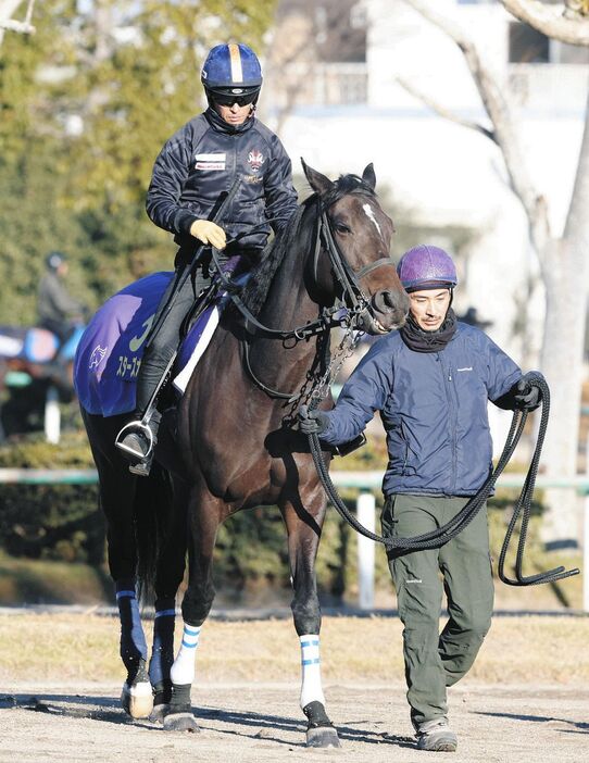 川田騎手を背に　スターズオンアース