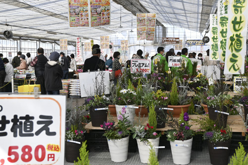 【来場者でにぎわう農場祭＝松阪市嬉野黒野町のクラギ嬉野農場で】