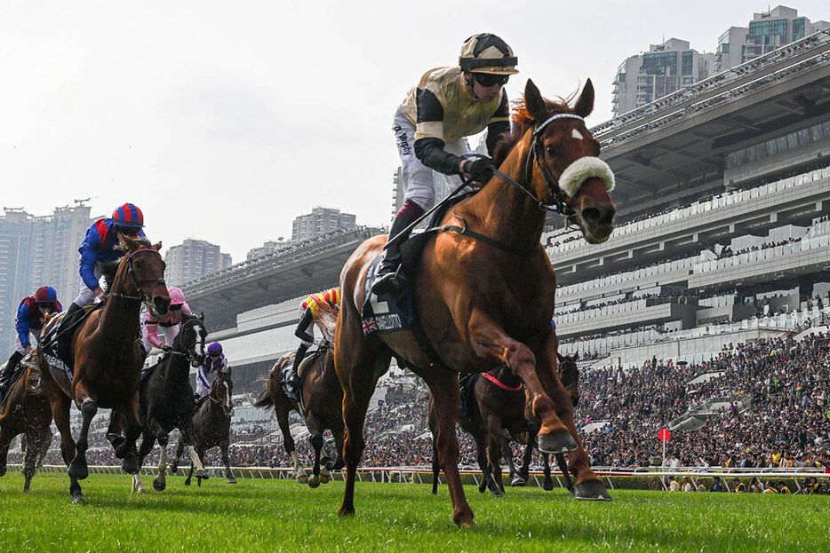 香港ヴァーズ・ジアヴェロットとO.マーフィー騎手 (C)The Hong Kong Jockey Club