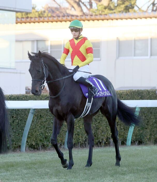 有馬記念で5着に敗れたジャスティンパレス＝中山競馬場（撮影・塩浦孝明）