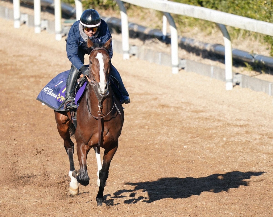 坂路で調整するローシャムパーク（撮影・村上大輔）