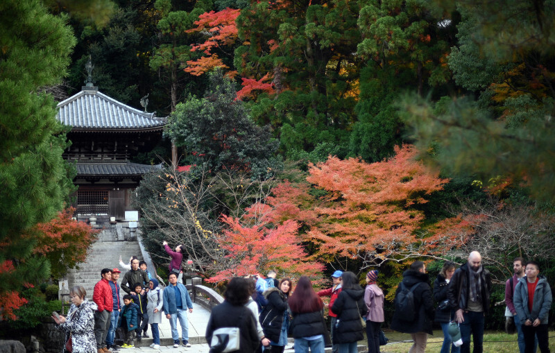 紅葉が見頃を迎え、大勢の外国人観光客でにぎわう知恩院＝京都市東山区で2024年12月1日午後、佐藤賢二郎撮影