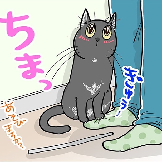 冷えた飼い主を温める!?愛猫の行動がかわいすぎる!!