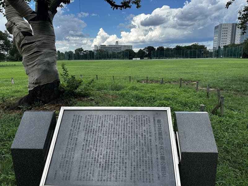 中島飛行機武蔵製作所があった武蔵野中央公園＝８月、東京都武蔵野市