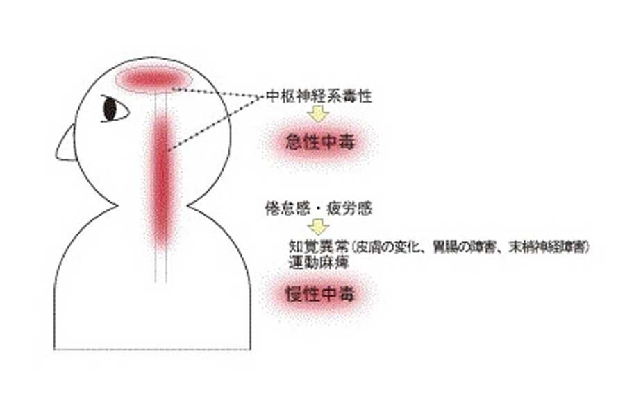 ヒ素の病理（画像：ボーケン品質評価機構）