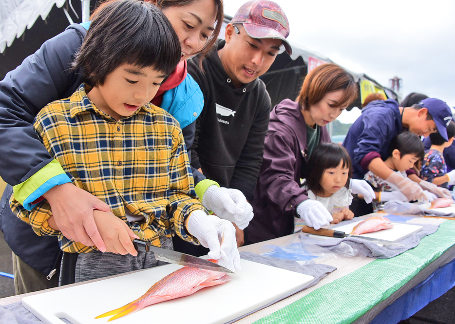 若手漁業者の指導で魚の二枚下ろしに挑戦する児童ら＝7日、鹿児島県龍郷町