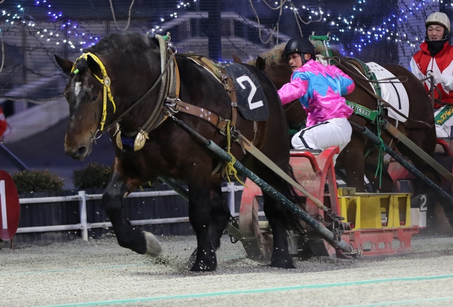 大友一馬騎手とミンナノユメヲノセ (C)ばんえい十勝