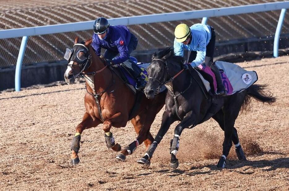 馬名通りに洗練されてきたアーバンシック（左）