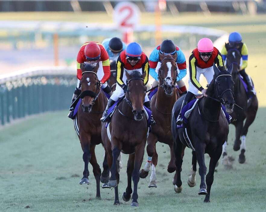 有馬記念を勝ったレガレイラ（中央）＝中山競馬場（撮影・萩原悠久人）