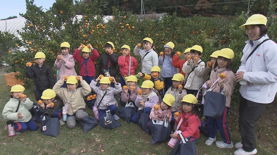 大分市の農場