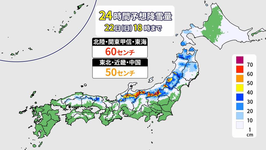 予想降雪量