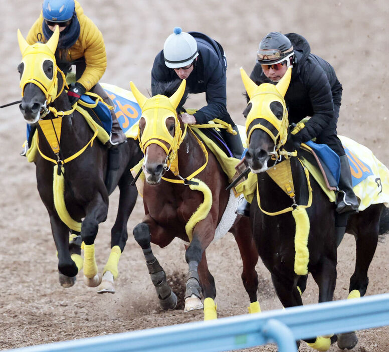 ムーア騎手騎乗で追い切ったニタモノドウシ（中、カメラ・荒牧　徹）