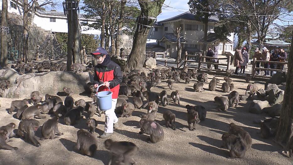 高崎山自然動物園