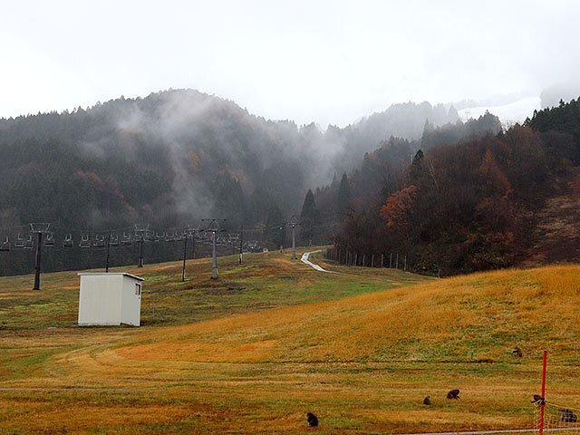 現在のスキー場。山頂には積雪がある。サルも遊びに来ていた＝富山市原