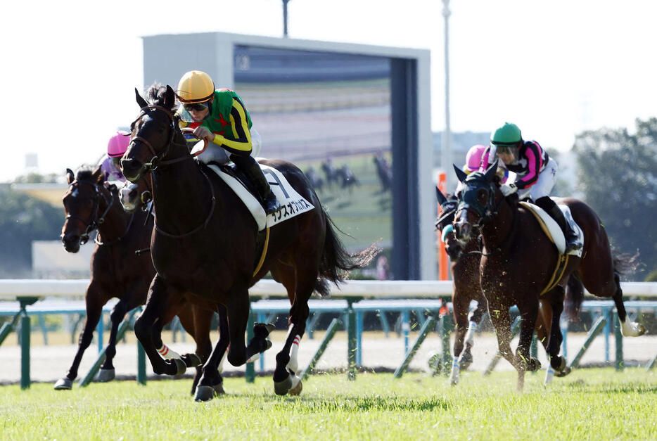 新馬戦を快勝したランスオブカオス（手前）（撮影・前田充）