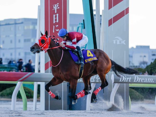 東京大賞典を制したフォーエバーヤング(撮影：高橋正和)